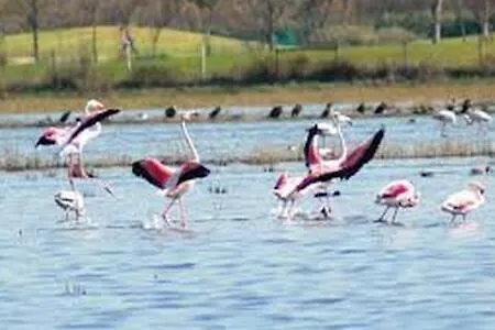 Casa Da アルマカオ・デ・ペラ